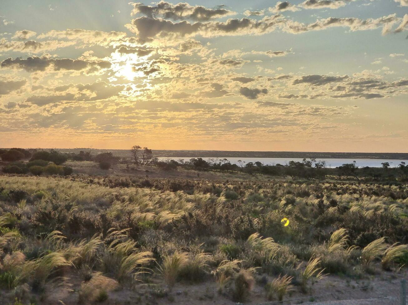 Lake Hart, South Australia photo