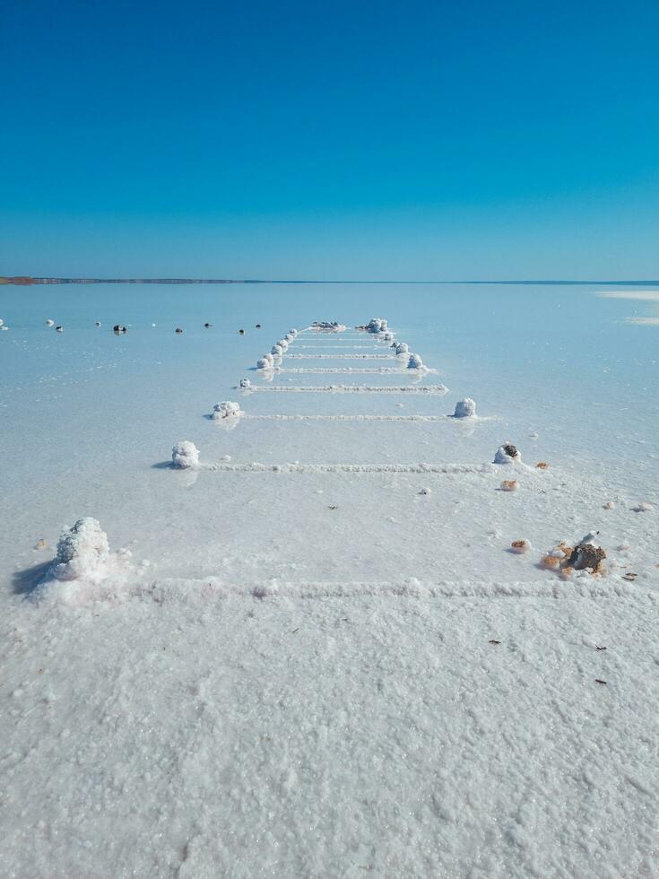 lago ciervo, sur Australia foto