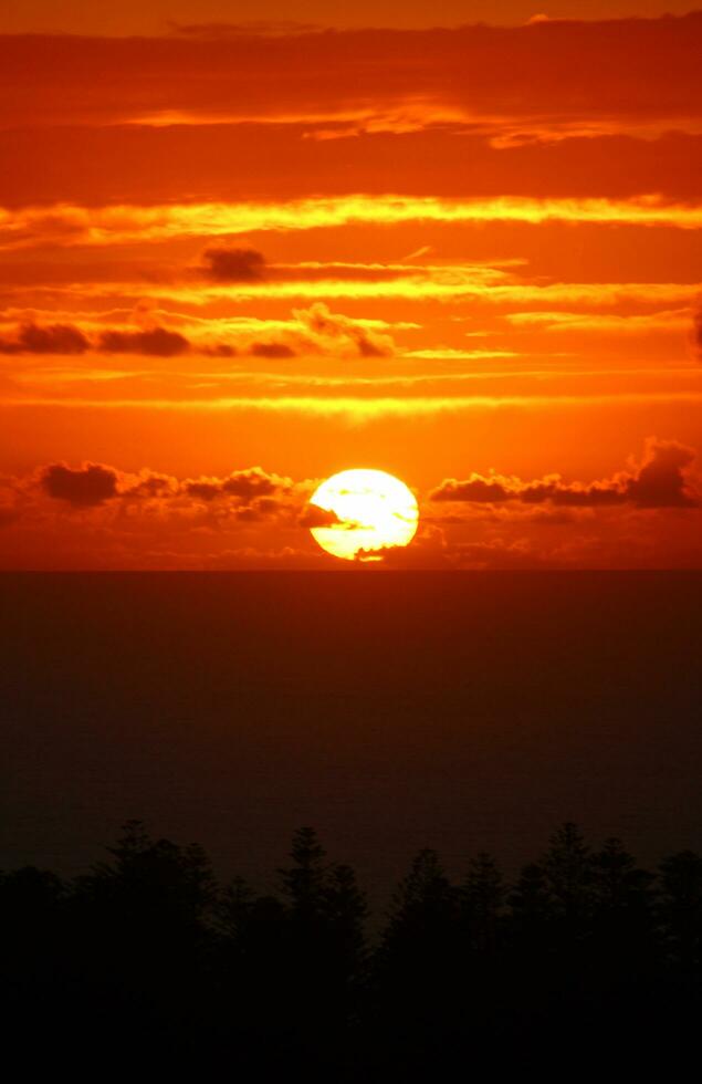 Norfolk Island Scenery, Australia photo