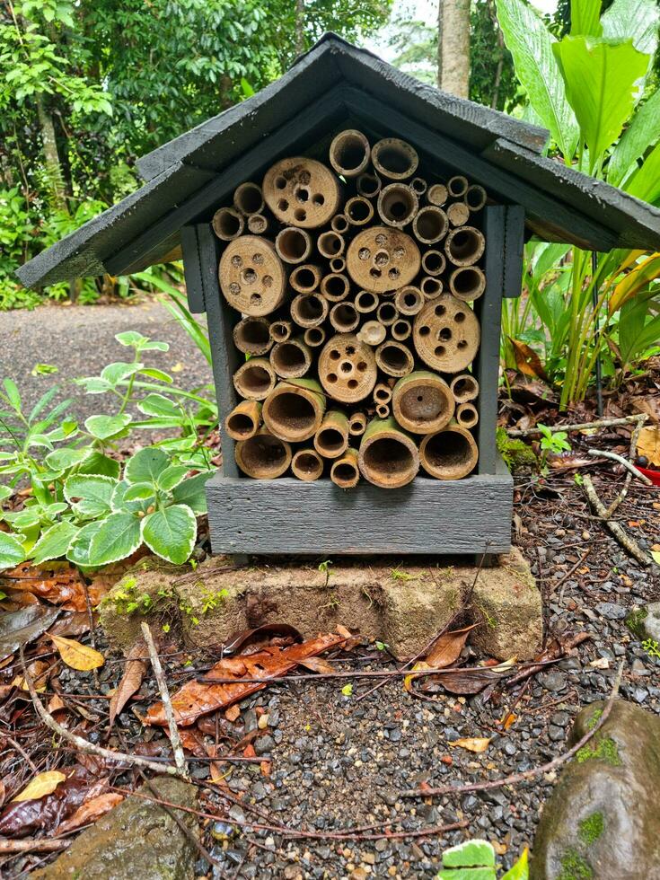 Paronella Park, Queensland Australia photo