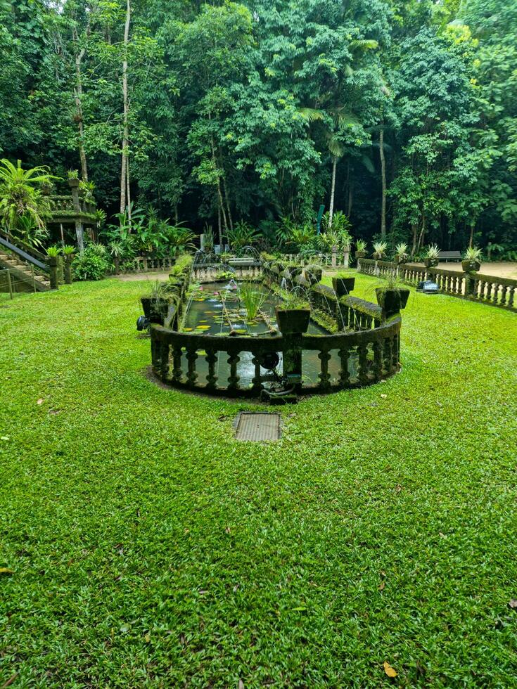 Paronella Park, Queensland Australia photo