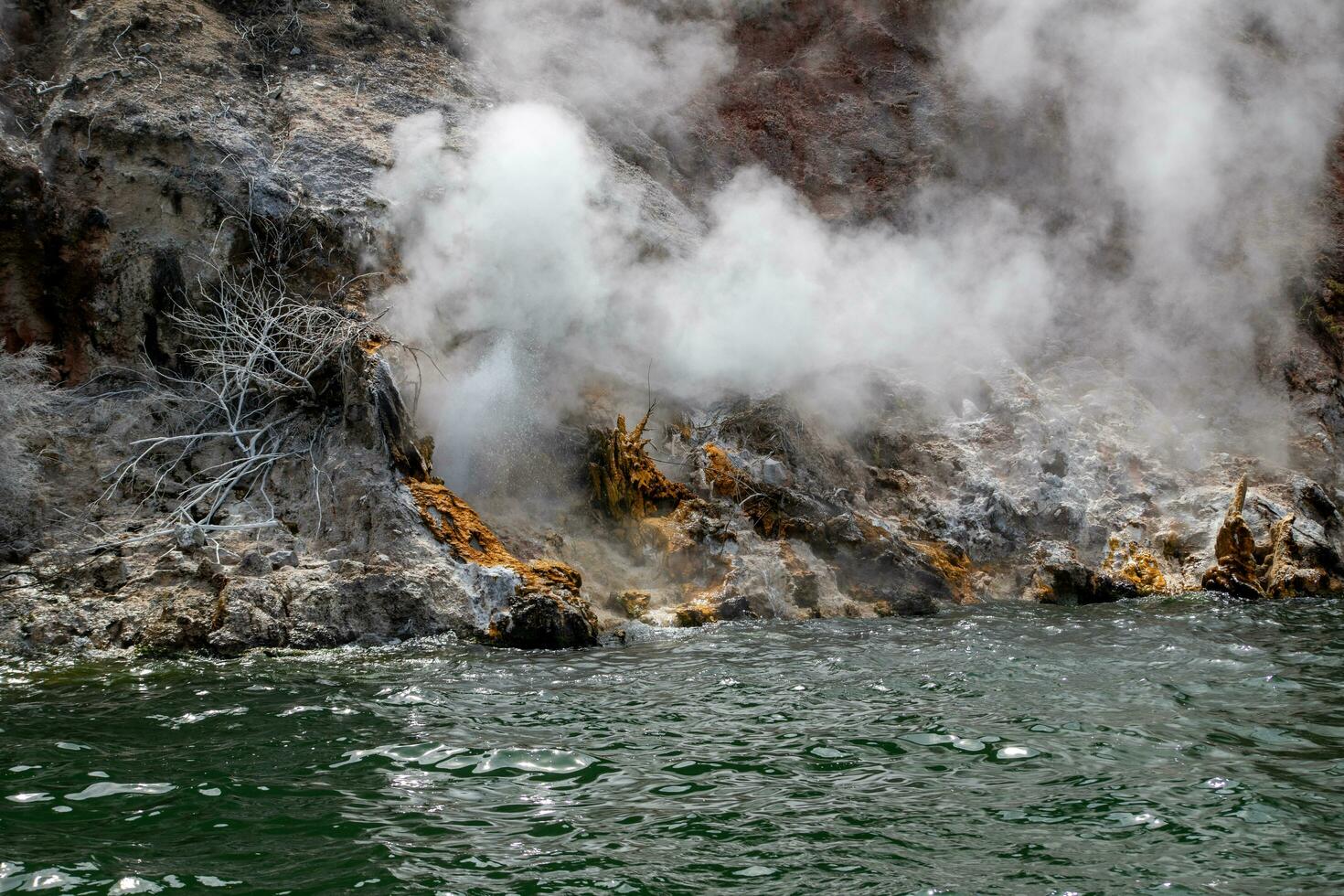 Rotorua geotermales nuevo Zelanda foto