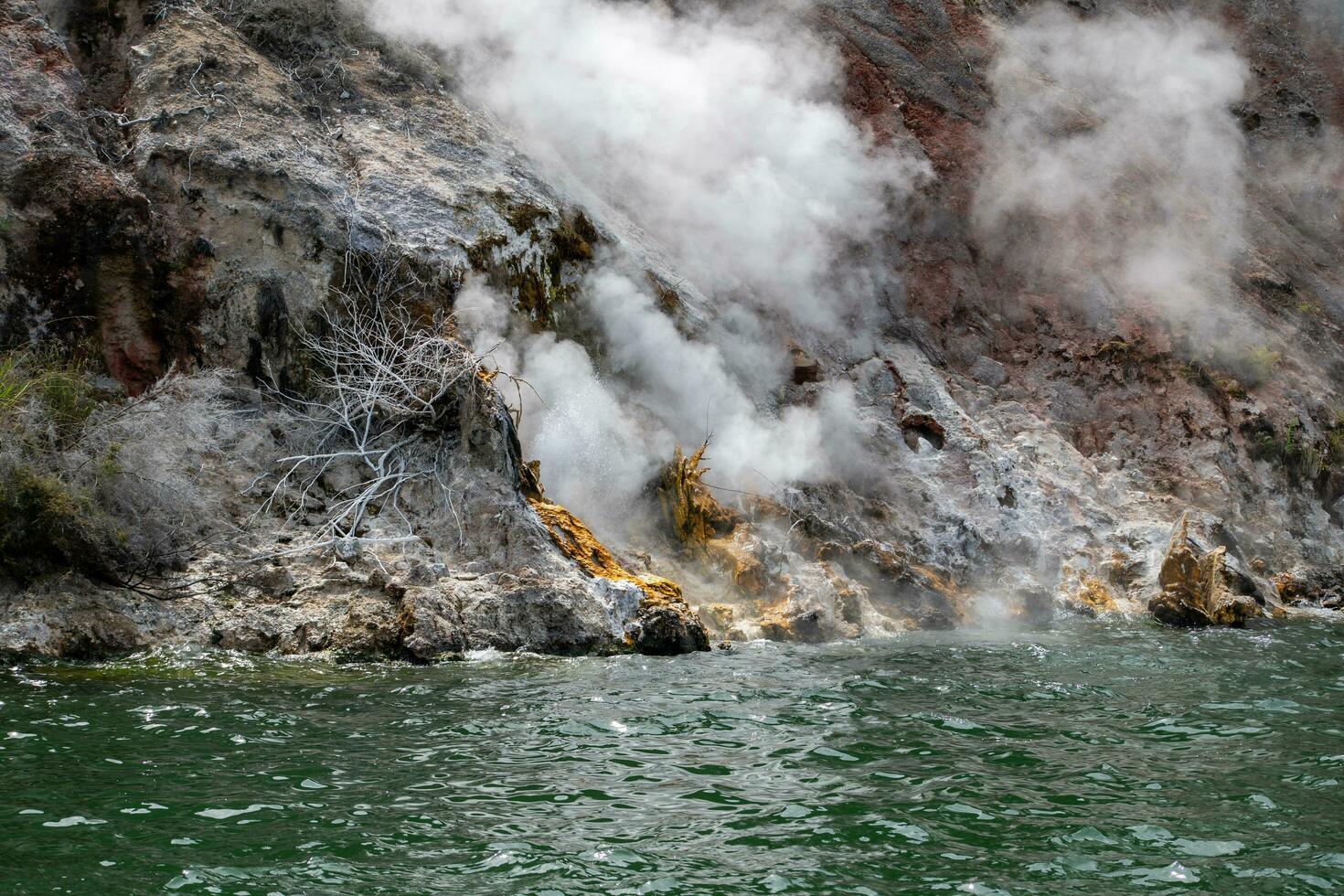 Rotorua geotermales nuevo Zelanda foto