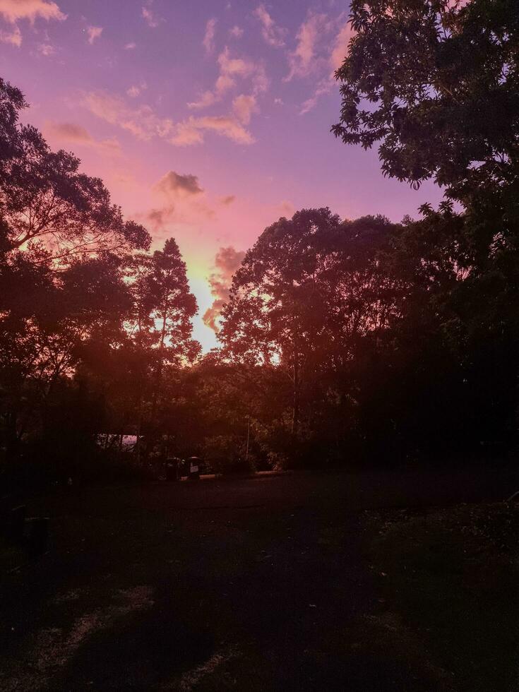 vergüenza conservación parque, Queensland Australia foto