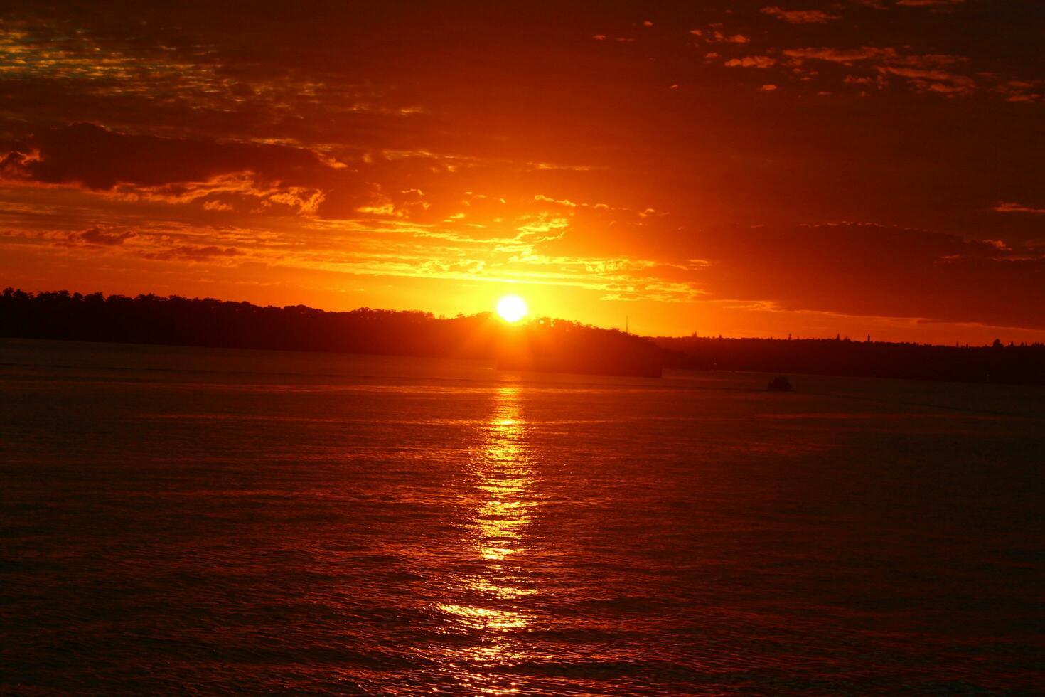 Sydney Sunrise at Opera House photo