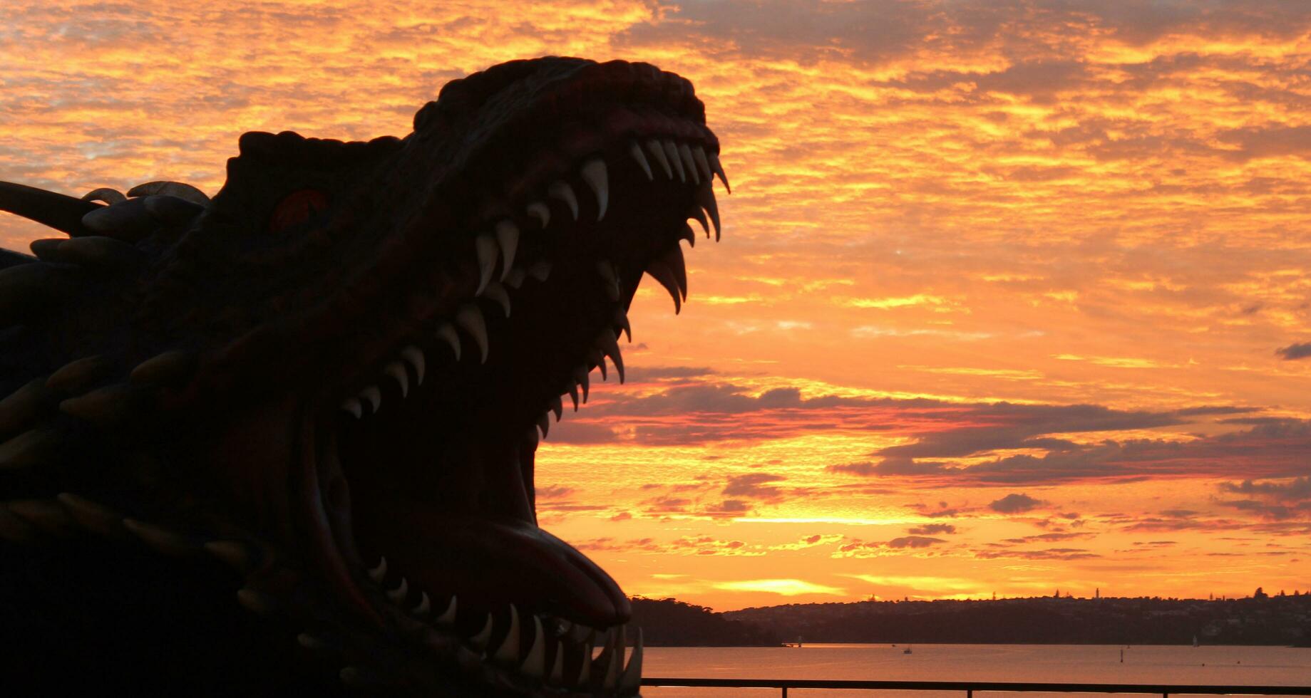 Sydney Sunrise at Opera House photo