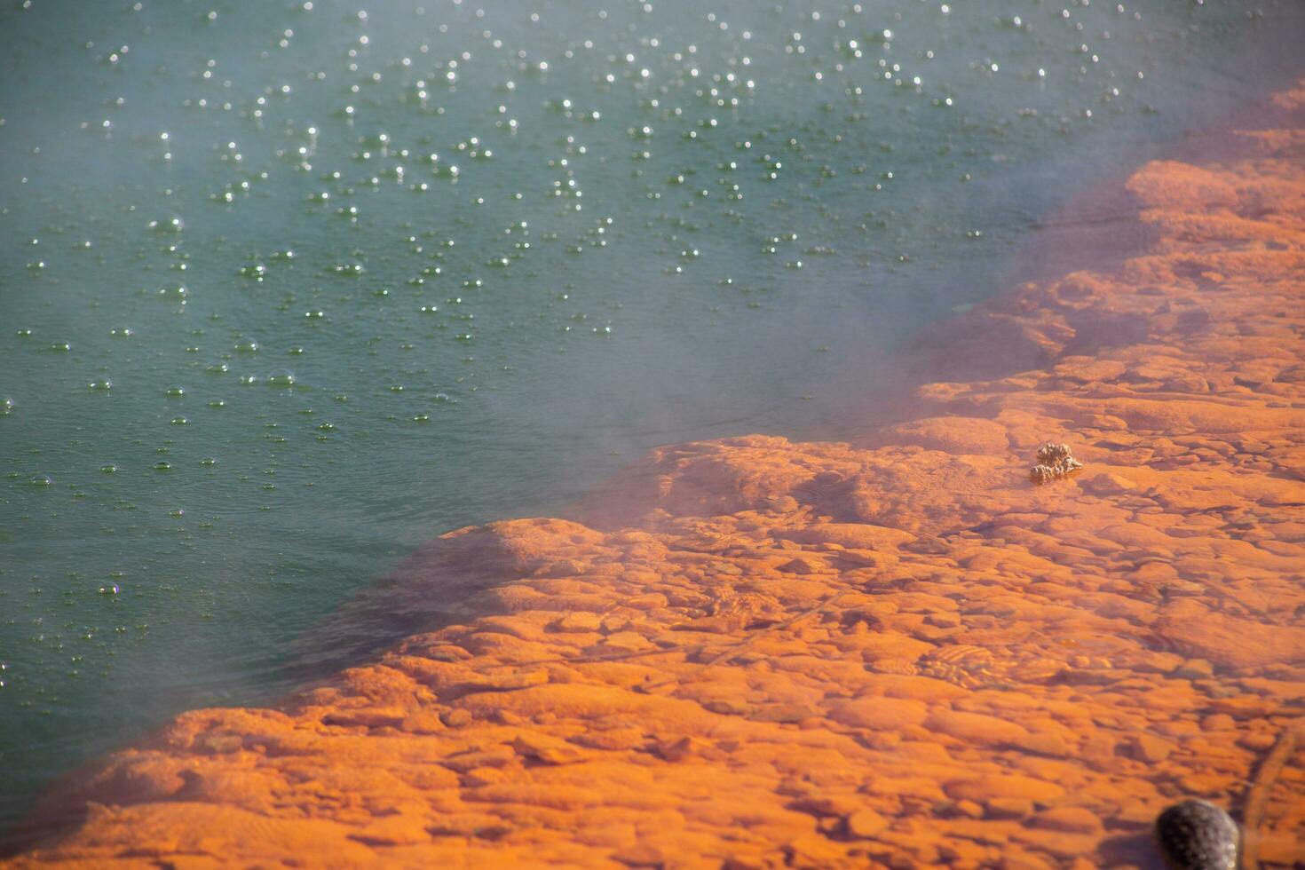 wai-o-tapu, rotoua, nuevo Zelanda foto