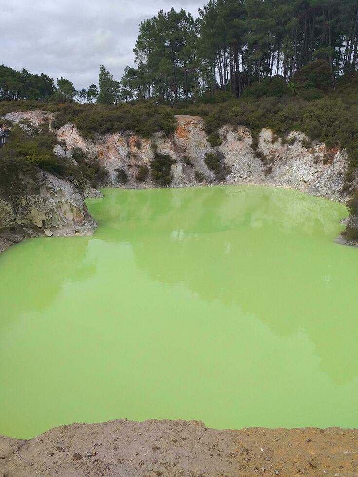 Rotorua Thermals, New Zealand photo