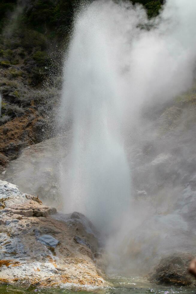 Rotorua Thermals, New Zealand photo