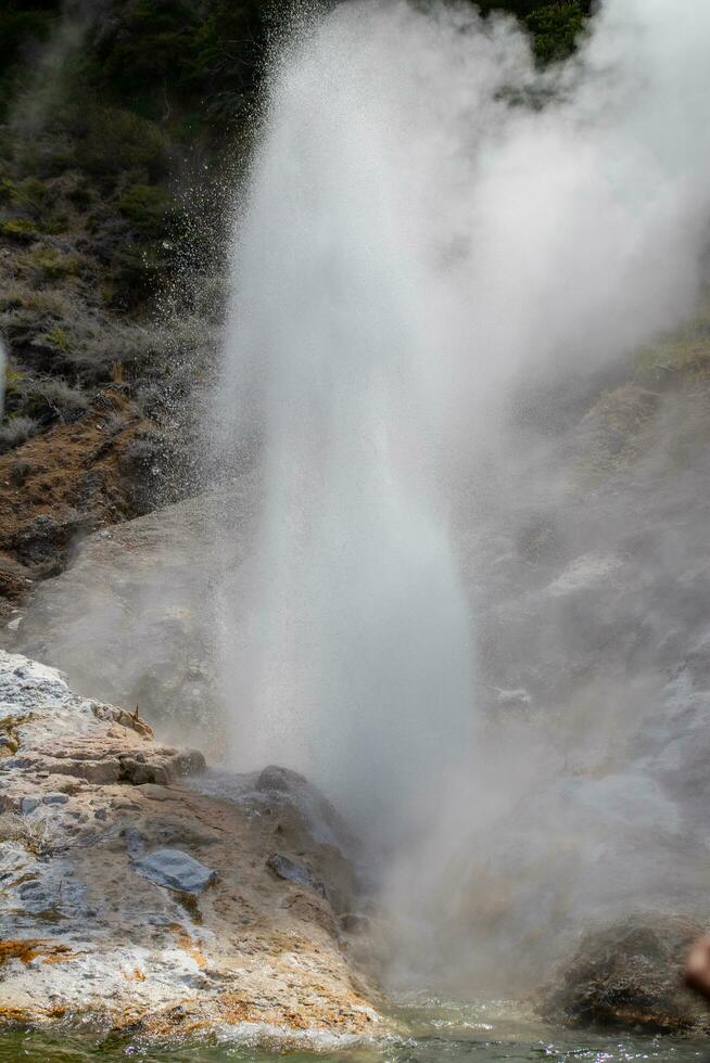 Rotorua térmicas, nuevo Zelanda foto