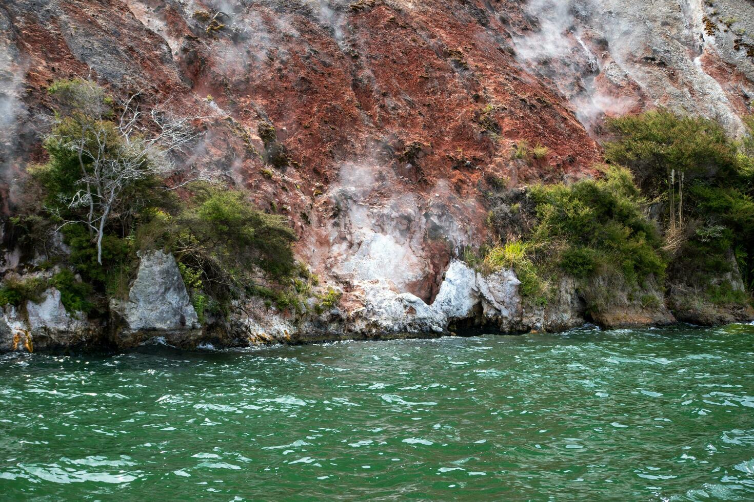 Rototua Thermals, New Zealand photo