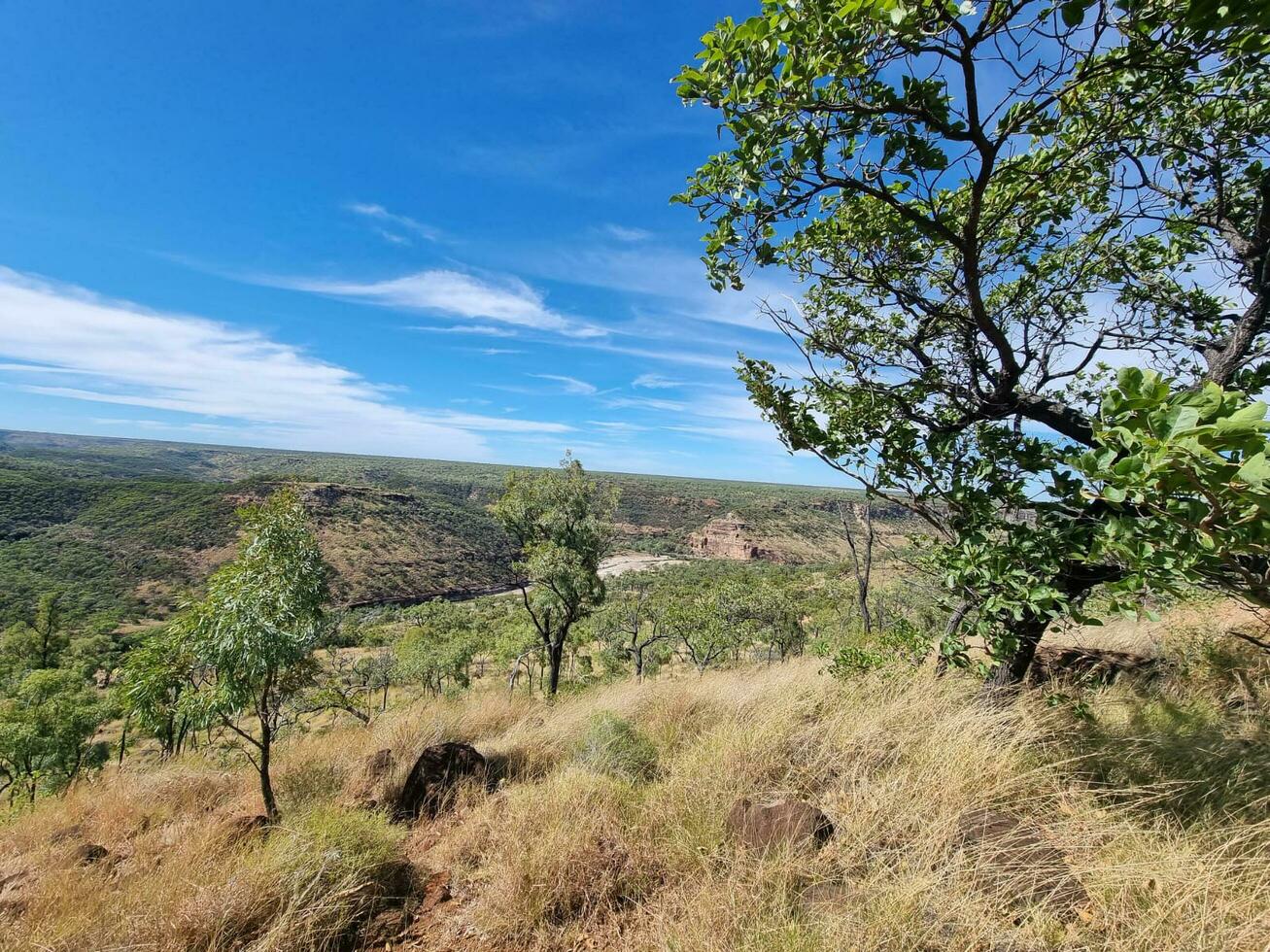 Porcupine Gorge, Queensland Australia photo