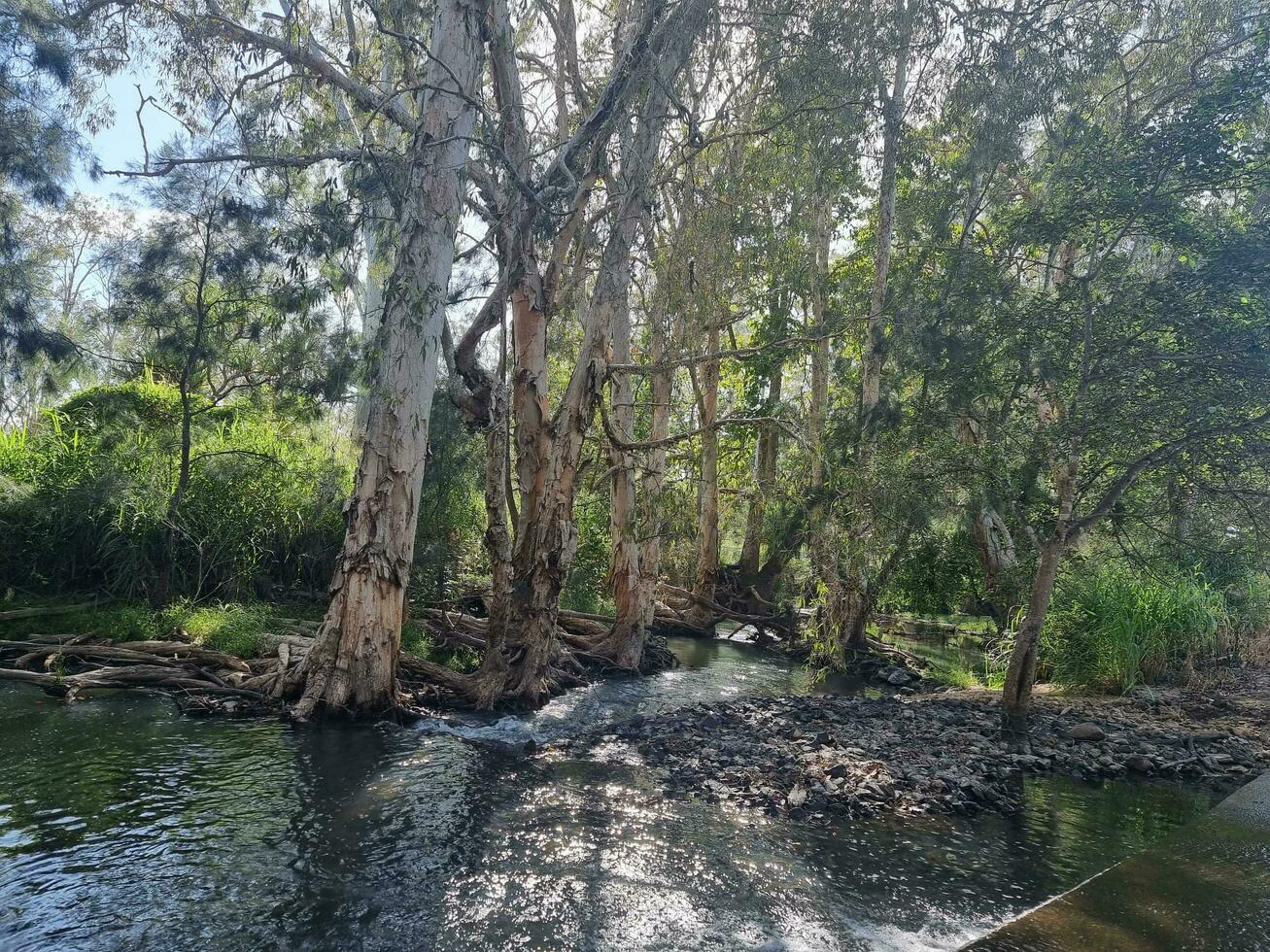 Queensland Outback Australia photo