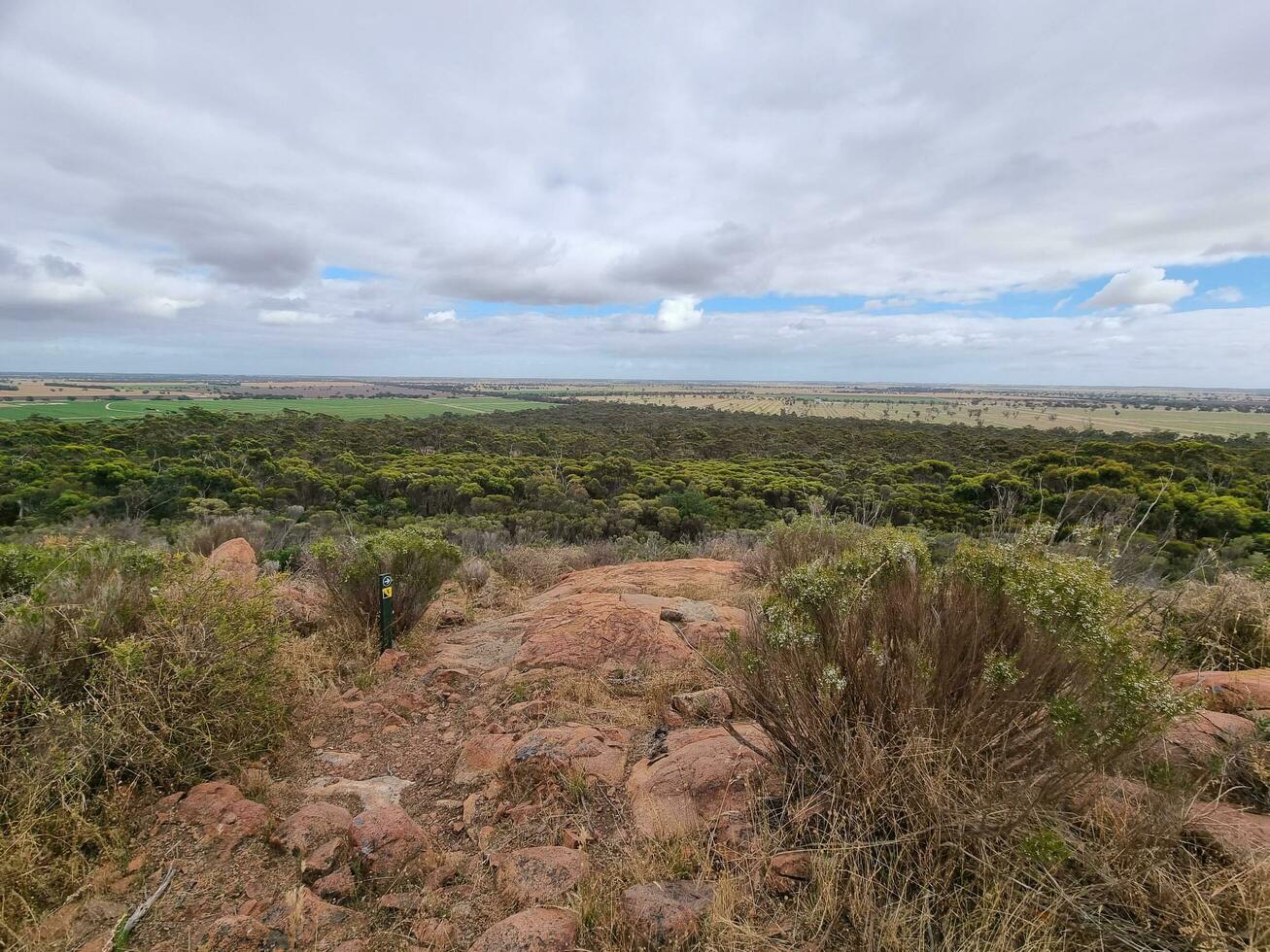 australiano Afuera desierto foto