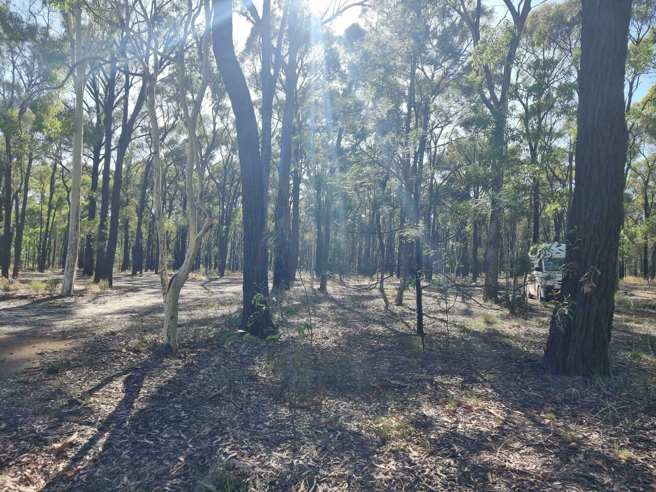 Australian Outback Wilderness photo