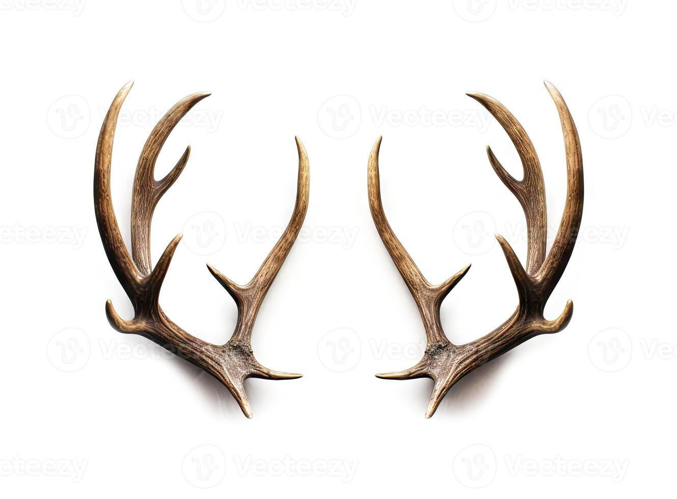 Large deer antlers on white background. created with technology photo
