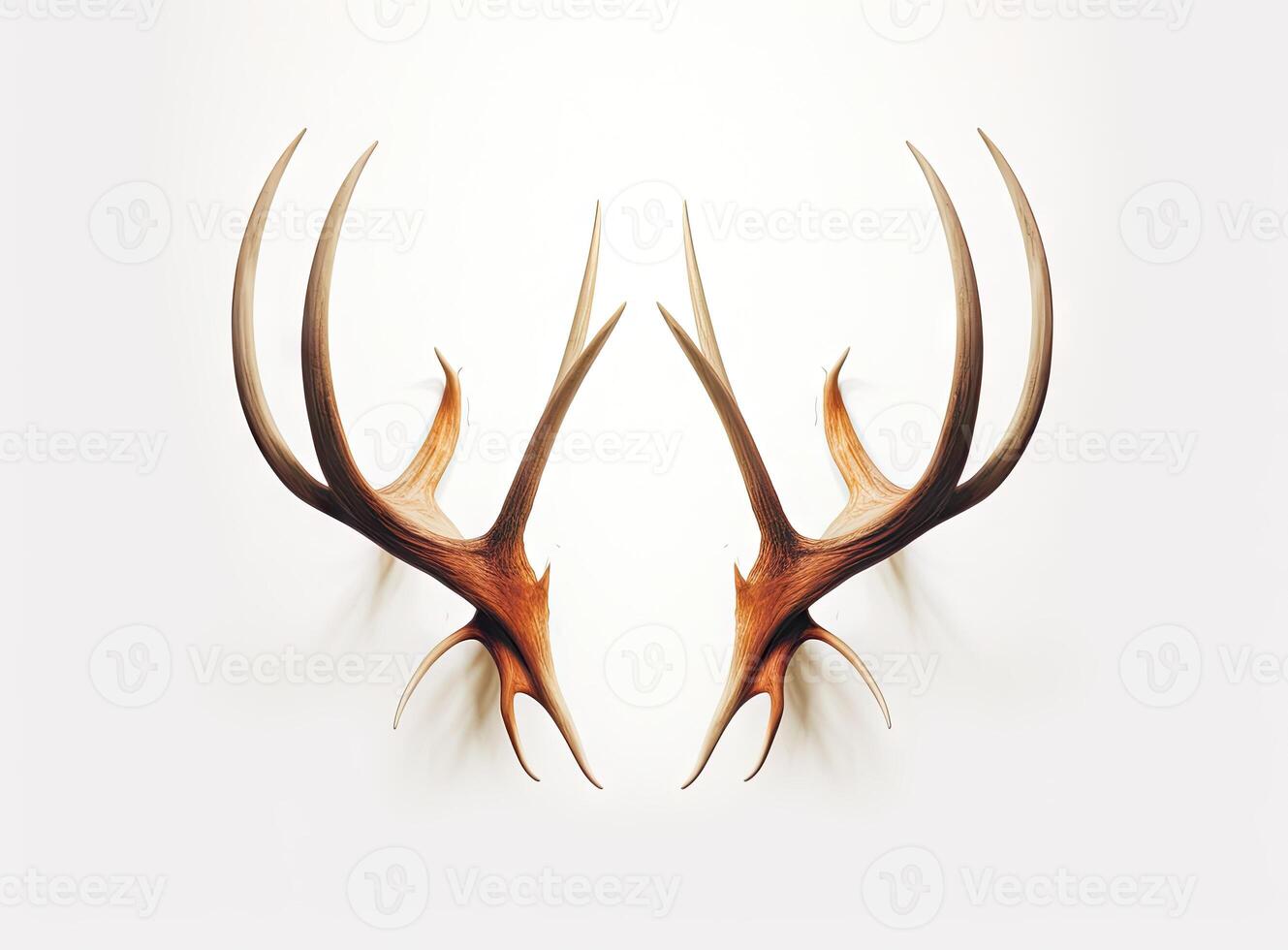 Large deer antlers on white background. created with technology photo