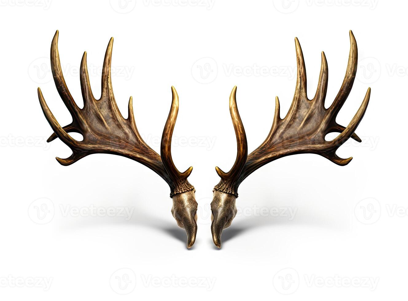 Large deer antlers on white background. created with technology photo