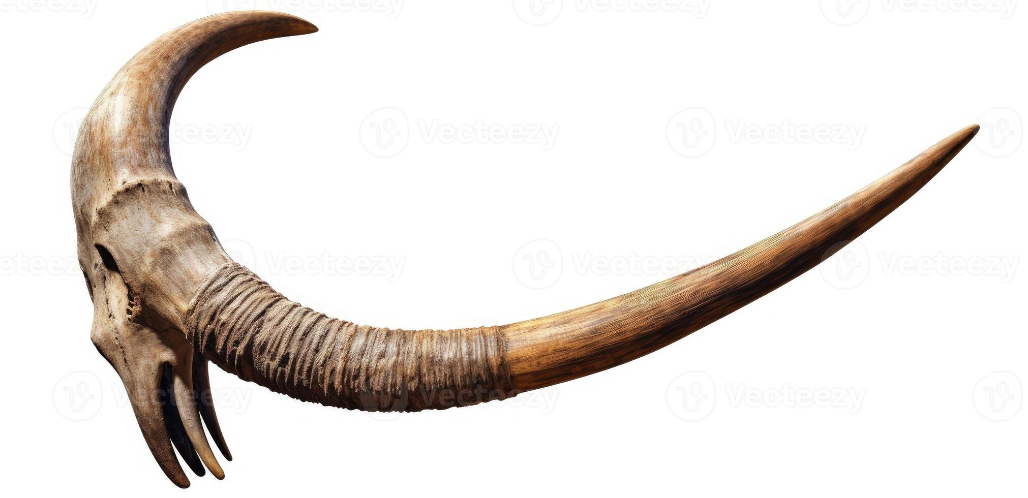 old horn isolated on white background created with Generative AI technology photo