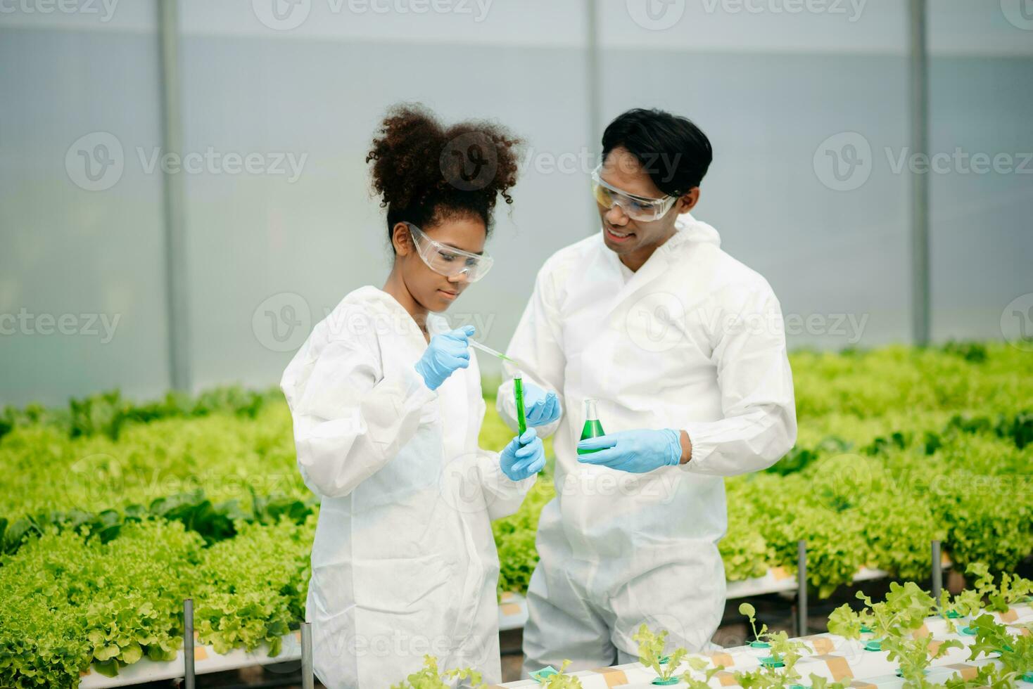 Biologist puts sprout in test tube for laboratory analyze. Two scientists stand in organic farm. check, laboratory in greenhouse. photo