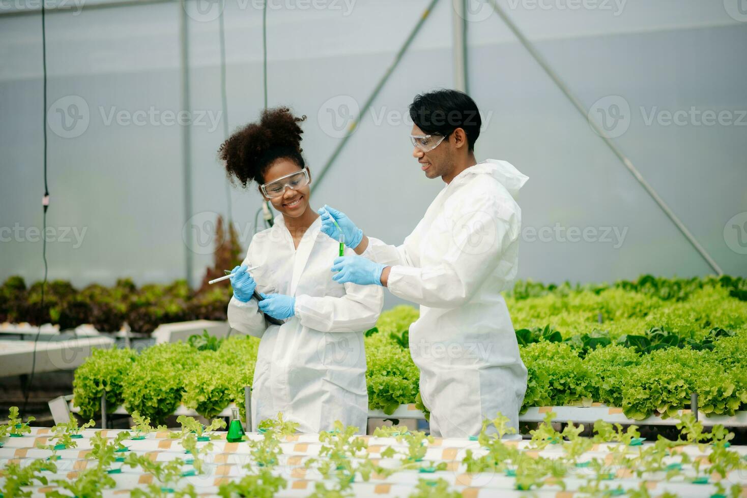 Biologist puts sprout in test tube for laboratory analyze. Two scientists stand in organic farm. check, laboratory in greenhouse. photo