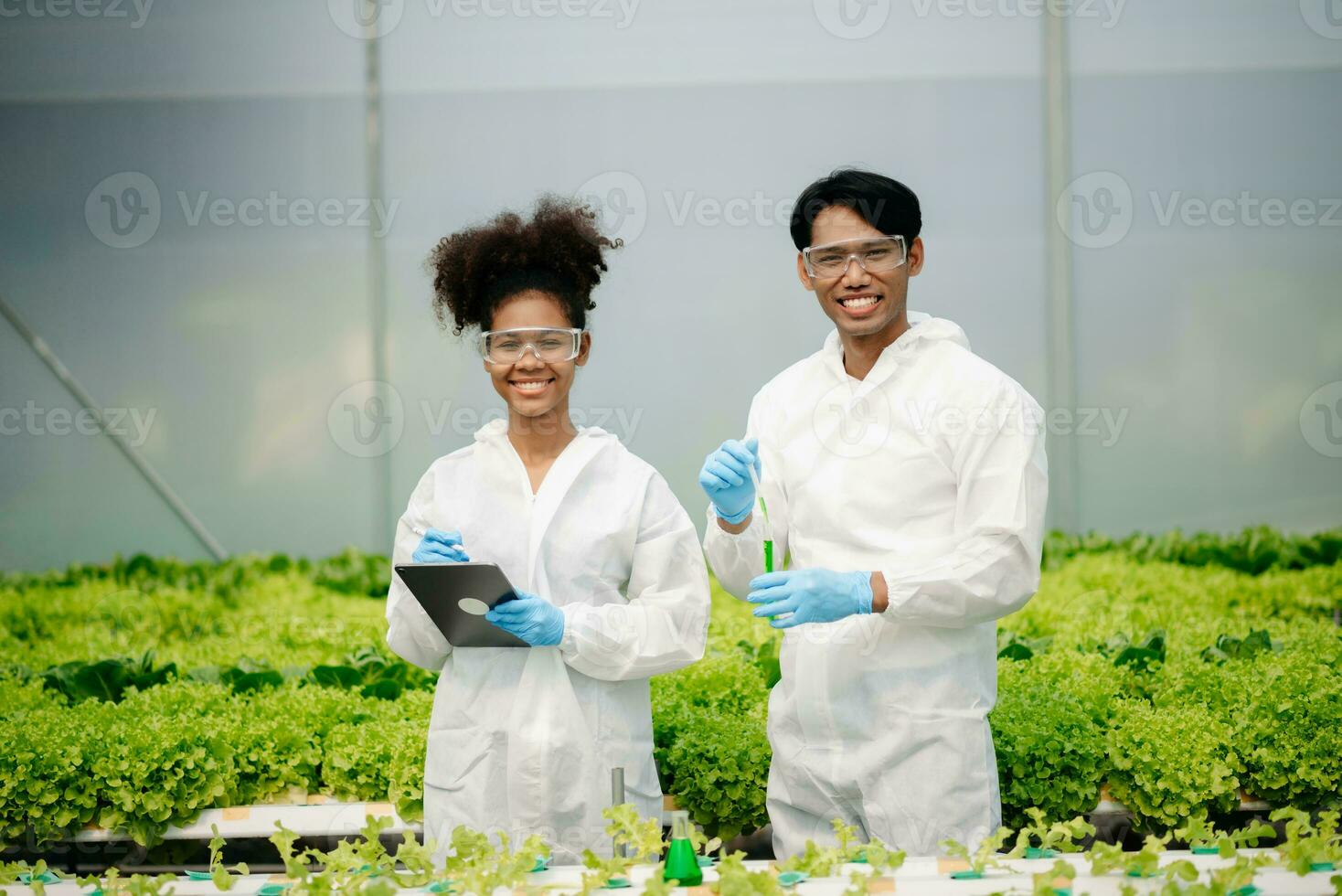 Biologist puts sprout in test tube for laboratory analyze. Two scientists stand in organic farm. check, laboratory in greenhouse. photo