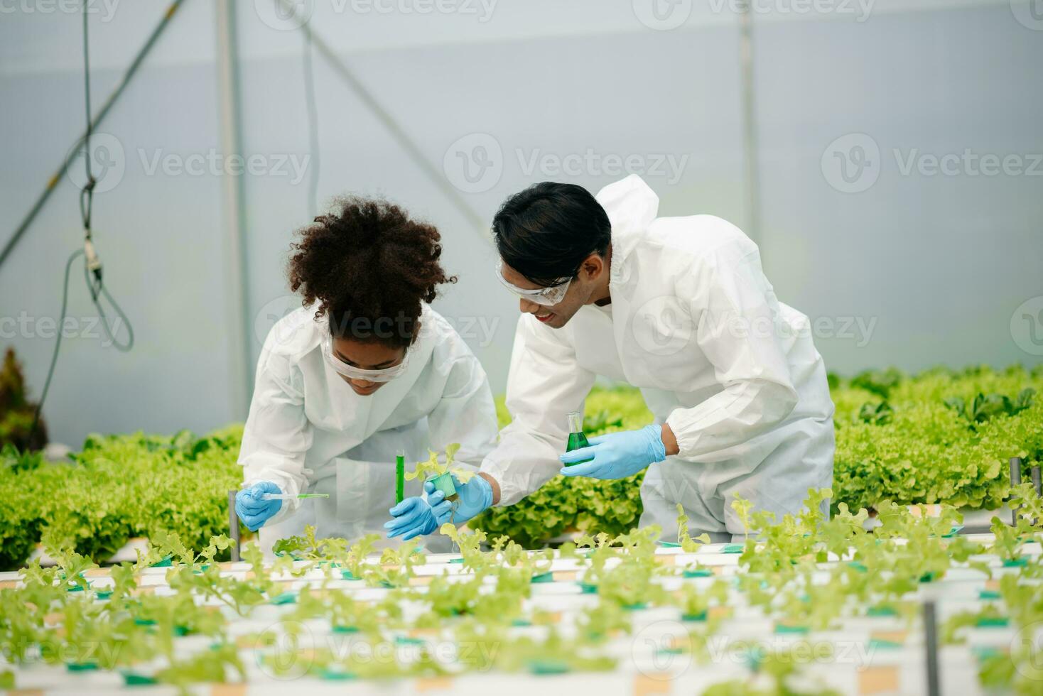 Biologist puts sprout in test tube for laboratory analyze. Two scientists stand in organic farm. check, laboratory in greenhouse. photo