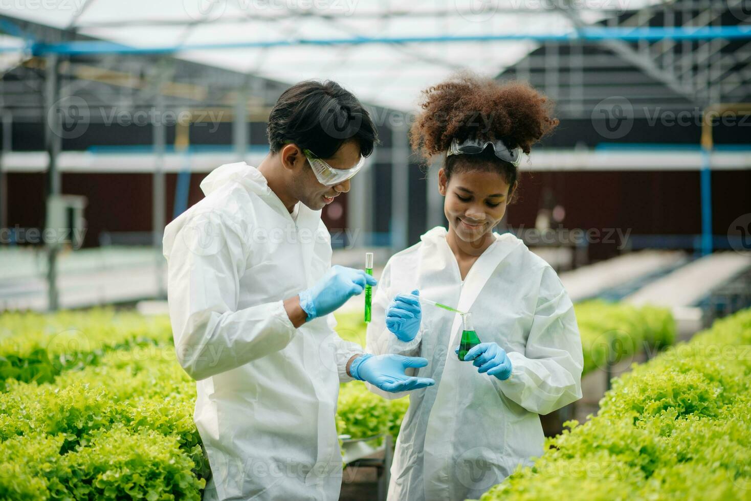 Biologist puts sprout in test tube for laboratory analyze. Two scientists stand in organic farm. check, laboratory in greenhouse. photo