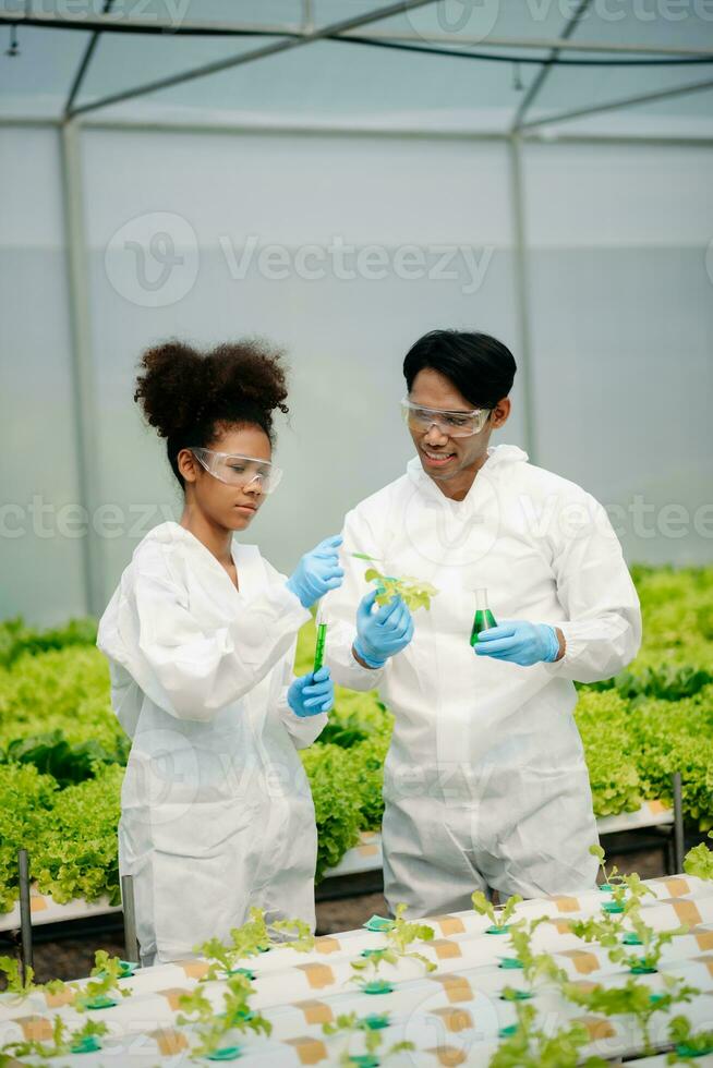 Biologist puts sprout in test tube for laboratory analyze. Two scientists stand in organic farm. check, laboratory in greenhouse. photo