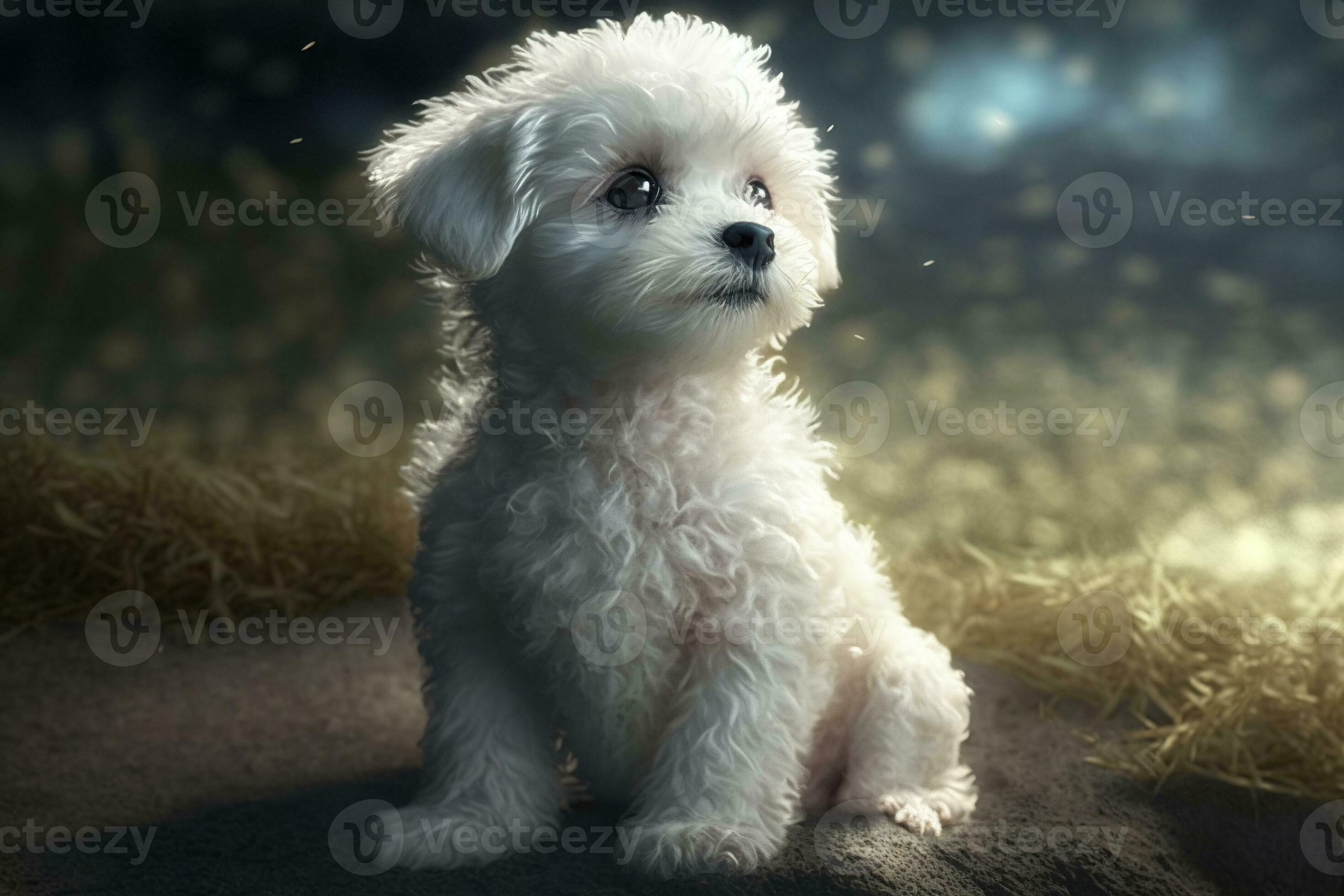 A cute and adorable little dog generated by AI 25934546 Stock Photo at ...