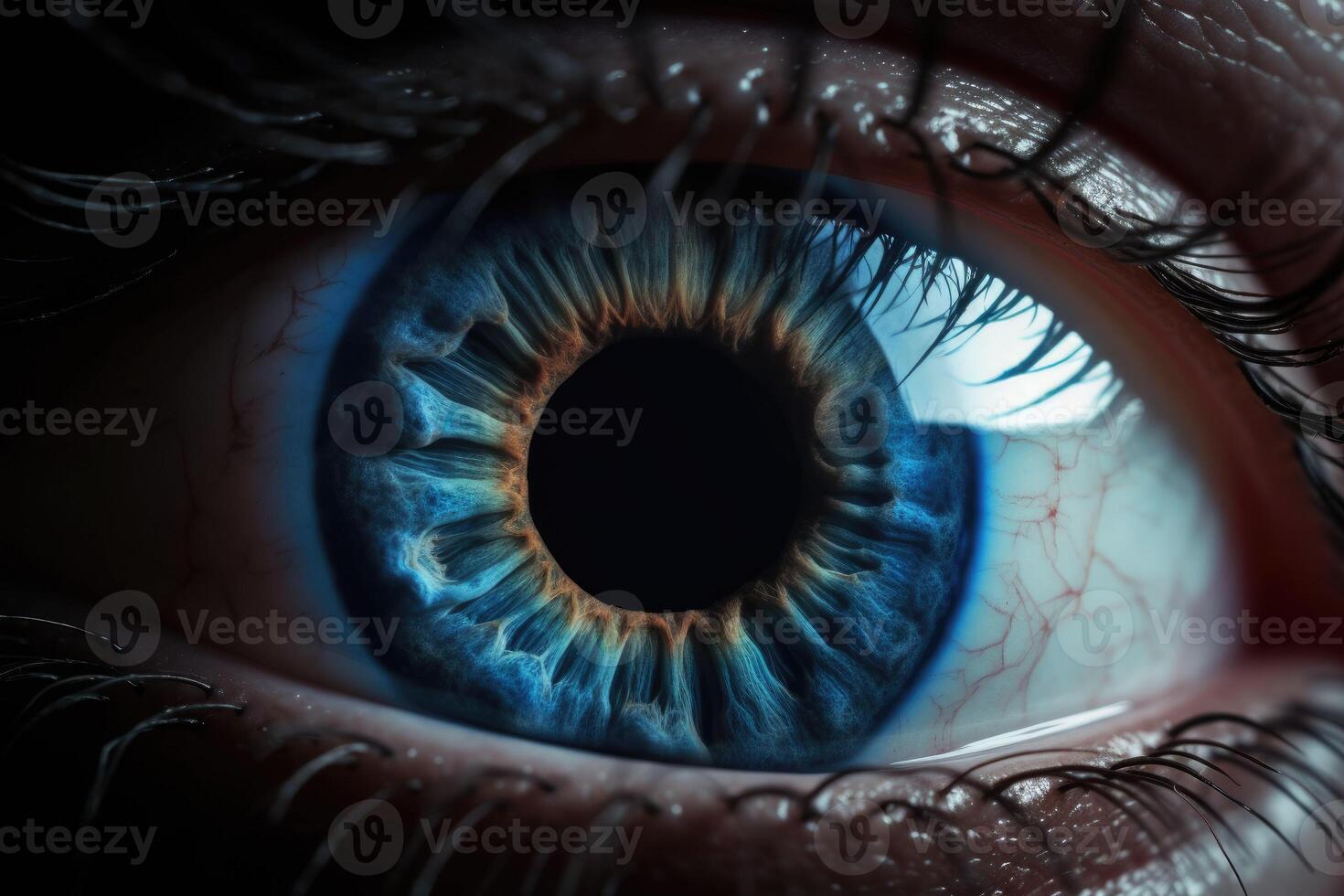 Close blue up of a human eye. A macro of a multi colored eye. photo