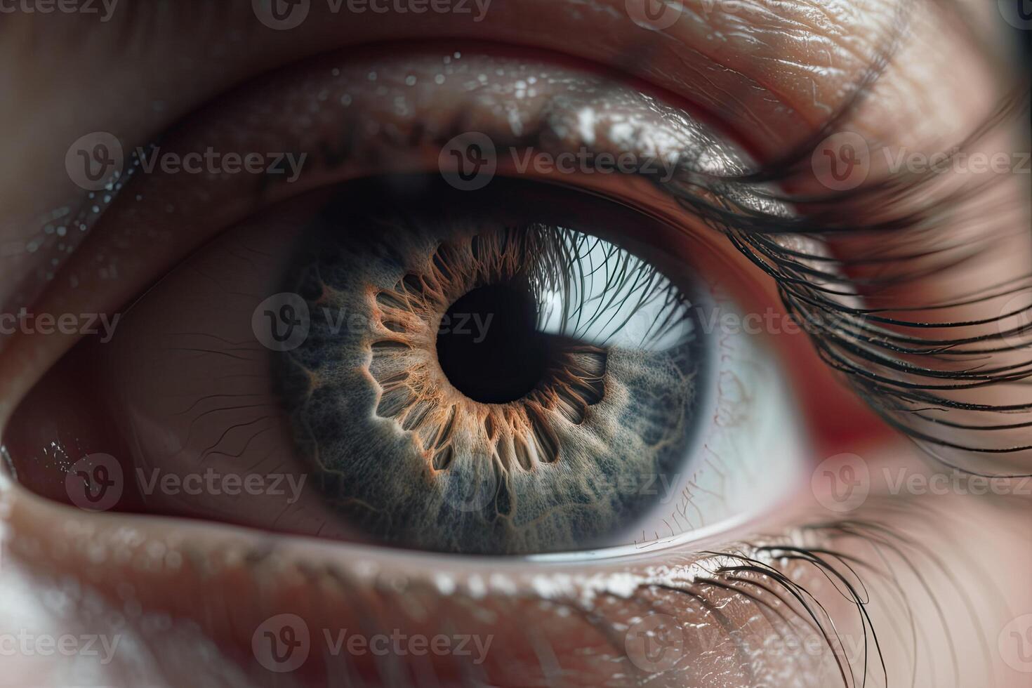 Close up gray of a human eye. A macro of a multi colored eye. photo