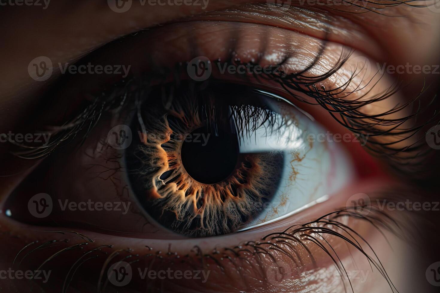 Close up brown of a human eye. A macro of a multi colored eye. photo
