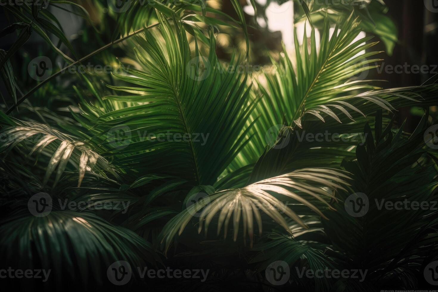 Green tropical palm leaves. Nature spring concept. Minimal summer abstract jungle or forest pattern. photo