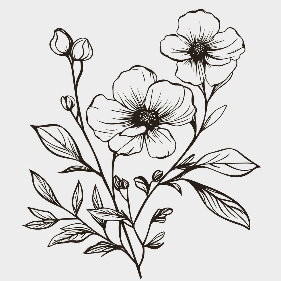 Flower illustrations with thin stem vector