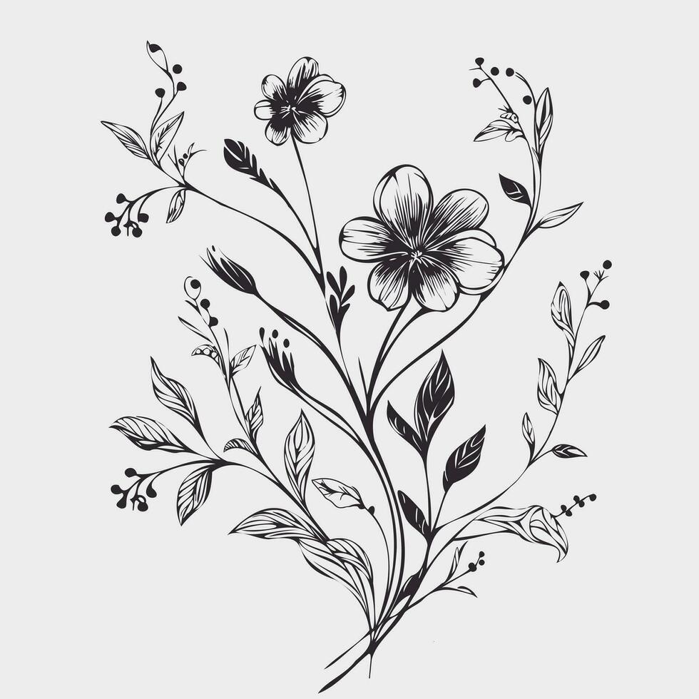 Flower illustrations with thin stem vector