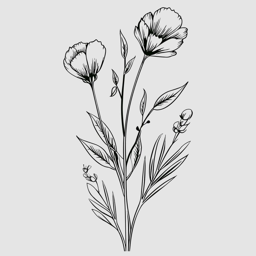 Flower illustrations with thin stem vector