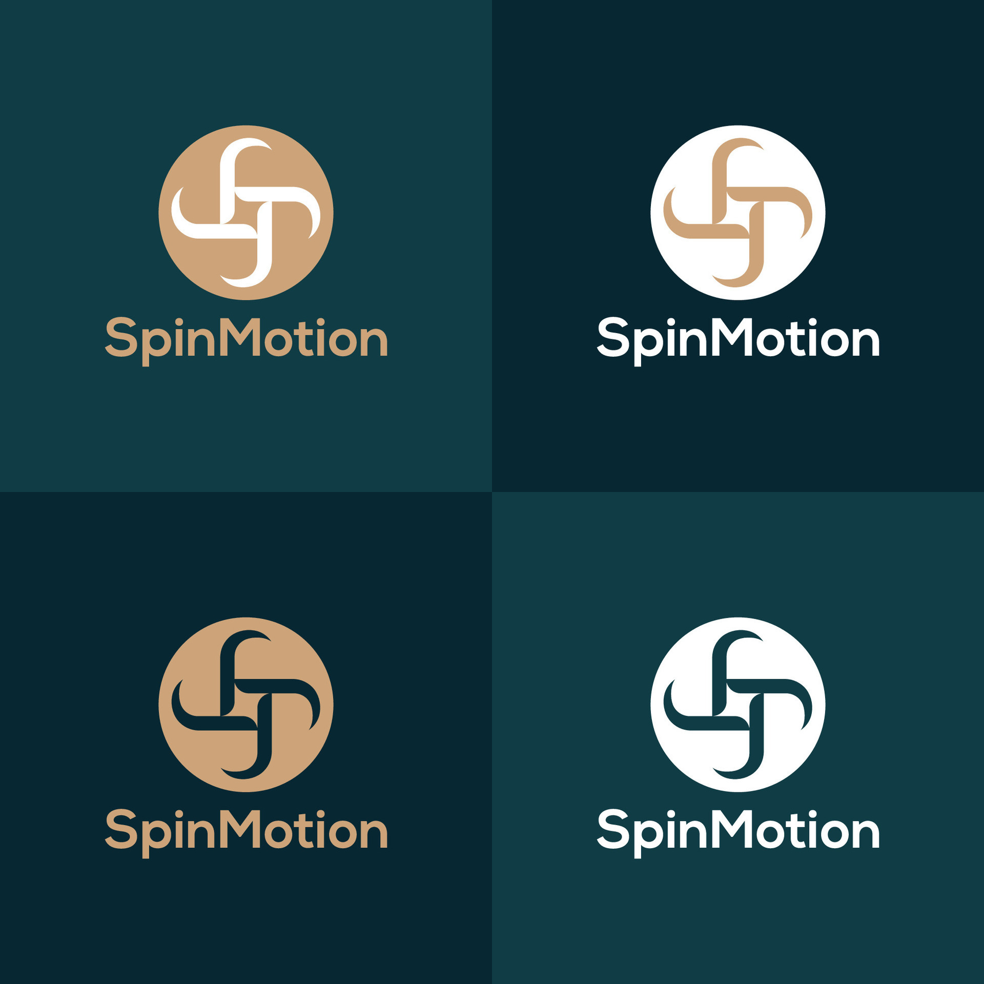 Stylish Spinning logo, spin motion logo design, Business identity