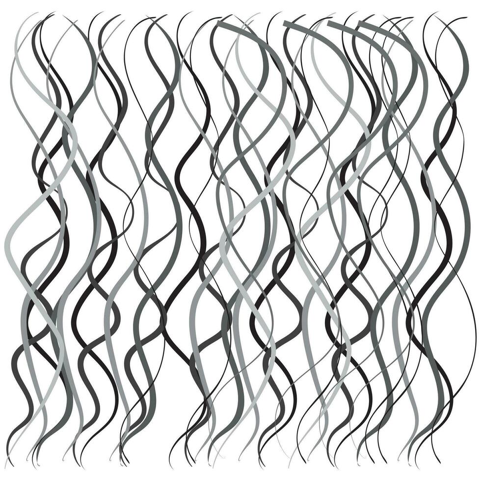 vertical curly lines. Abstract monochrome background. Vector illustration isolated on white background.