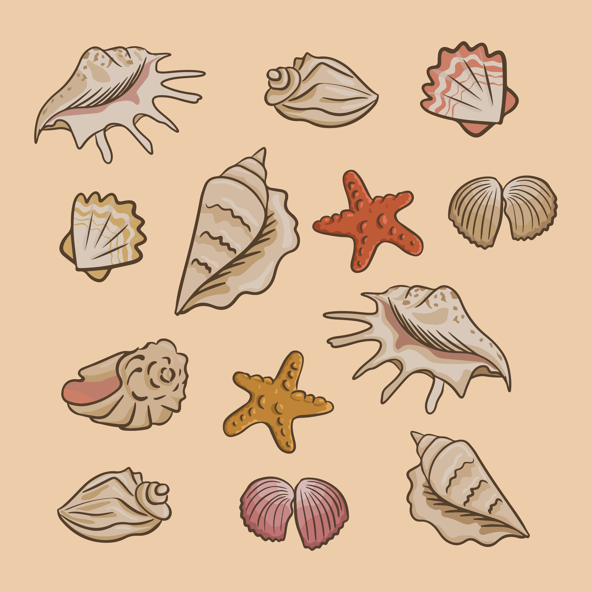 Collection of flat vector seashells. Sea or ocean elements composition.  Isolated seashells and starfish on sand background. Perfect for stickers,  tatoo, pattern, background, wrapping paperb 25939028 Vector Art at Vecteezy