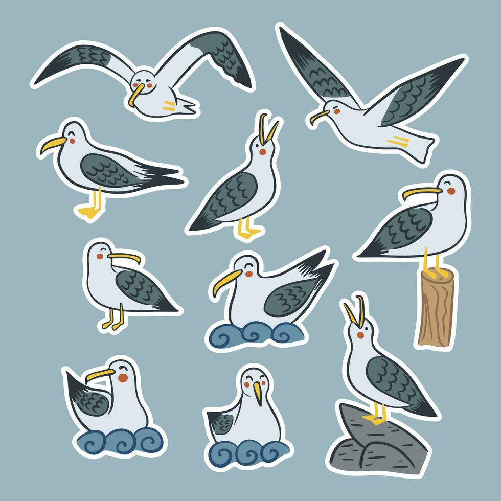 Set of isolated seagull characters. Flat cartoon illustration of sea birds flying, standing and swimming. Outline elements with white outlines. Ideal for decoration, greeting cards, postcards, sticker vector