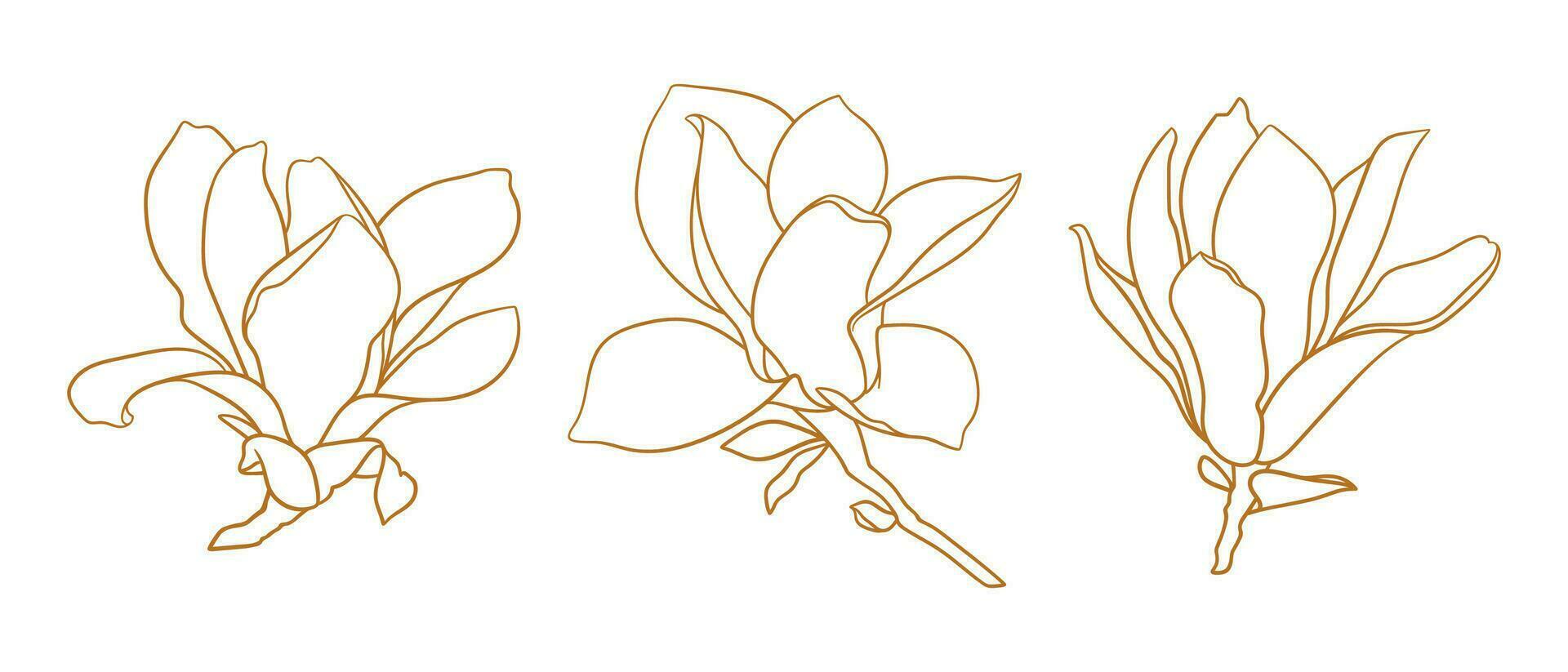 Set of magnolia flowers with branches in gold color. vector