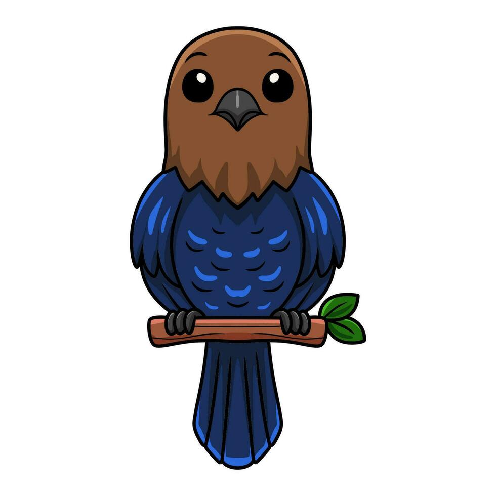 Cute brown headed cowbird cartoon on tree branch vector
