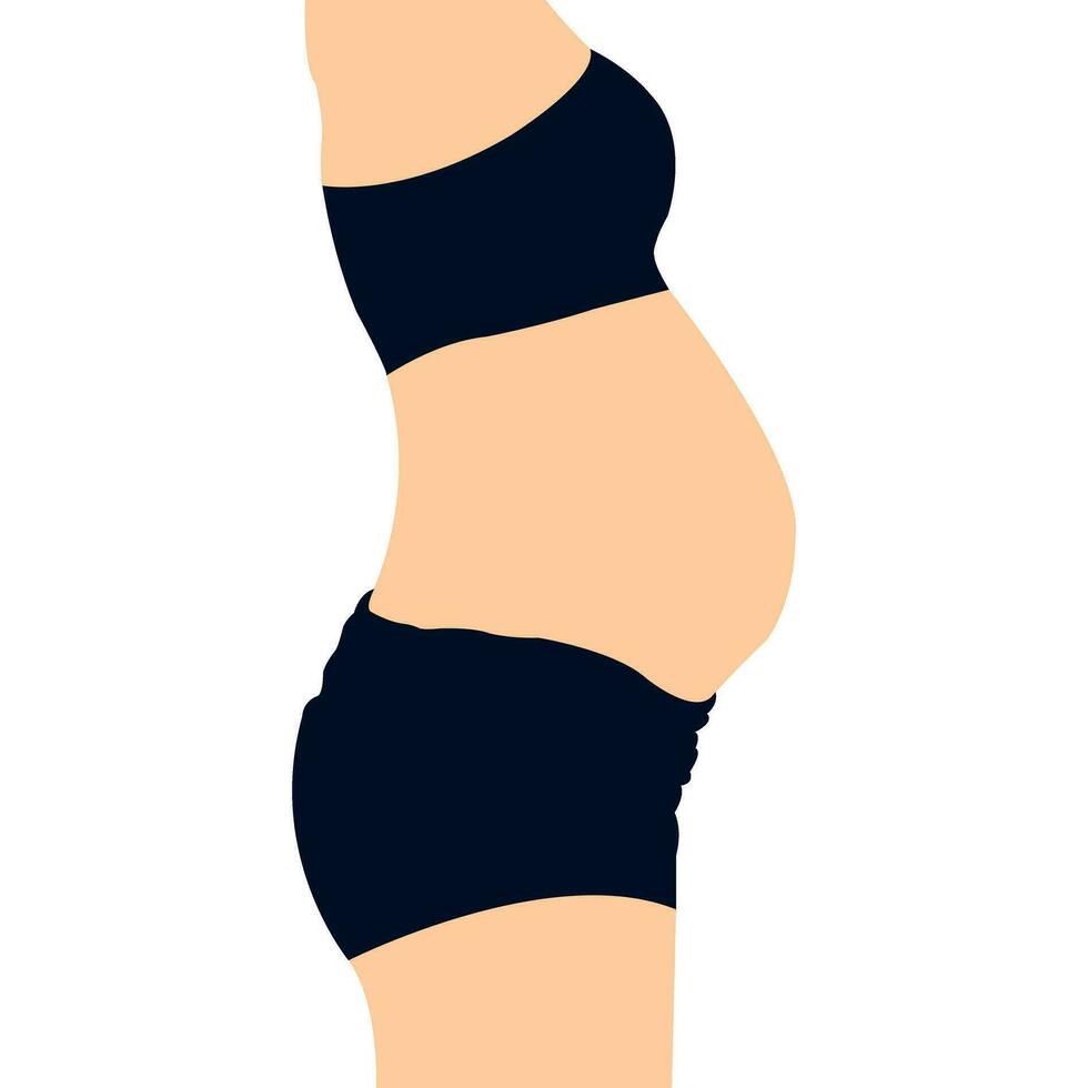 mujer barriga barriguita pliegue flácido piel hembra cuerpo abdomen. alcohol hormonal estresado mamá delantal hundimiento saliente superficial barriguita demostrando liposucción dieta peso pérdida grasa barriga Delgado estómago vector