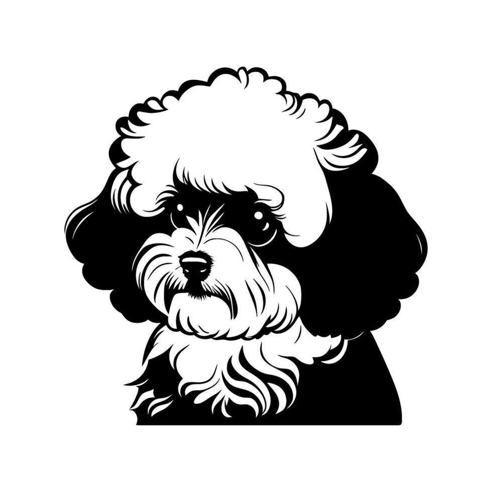 Cute Black Bichon Frise Dog Portrait vector