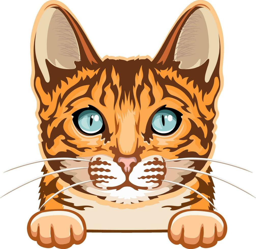 Bengala gato color - echar un vistazo gato, gato digital, gato criar, mascota vector, gato cabeza, cara gato vector