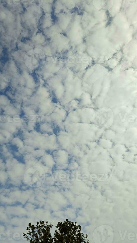 photo of a cloud in a blue sky