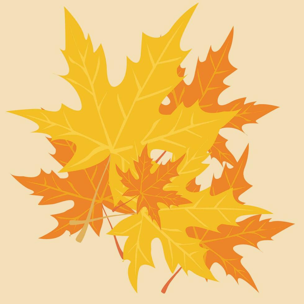 autumn, fallen leaves. autumn leaves, leaf fall vector