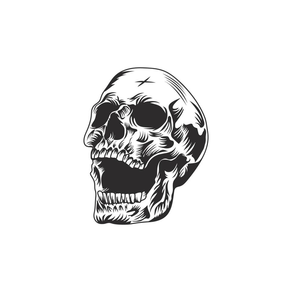 Hand drawn human skull vector