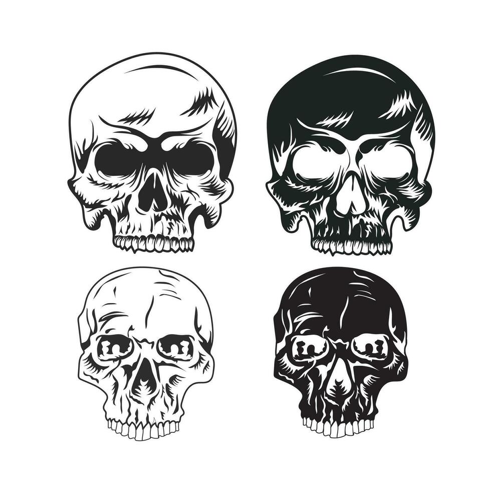 Hand Drawn Human Skull Vector